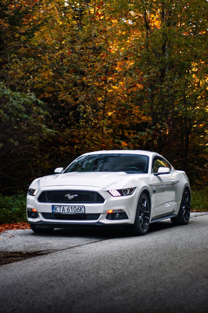 Ford Mustang GT
